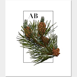 Alberta - Lodgepole Pine Posters and Art
